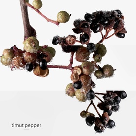 Terre d&rsquo;Herm&egrave;s Eau Givr&eacute;e Eau de Parfum