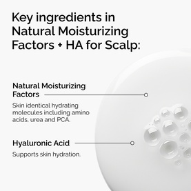 Hair Care, Natural Moisturizing Factors + HA