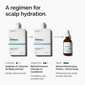 Hair Care, Natural Moisturizing Factors + HA