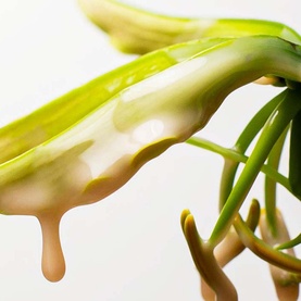 Nanoworks Gold Shampoo