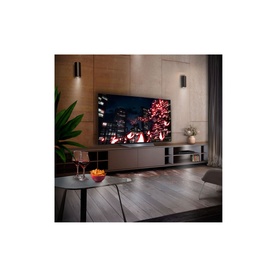 B2 55 Inch 4K Smart OLED TV