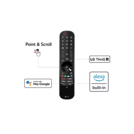 G2 65 Inch Evo Gallery Edition OLED TV