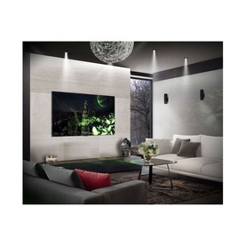 G2 55 Inch Evo Gallery Edition OLED TV