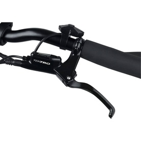Mate Bike X 250W Eternal Sun