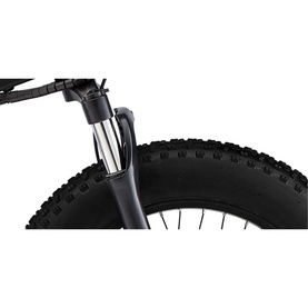 Mate Bike X 250W Eternal Sun