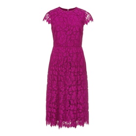 Hobbs Rosaleen Dress in purple floral lace, round neck, capped sleeves, midi length with scalloped hem detail