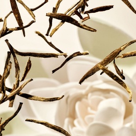 The Ritual of Karma Refill Fragrance Sticks