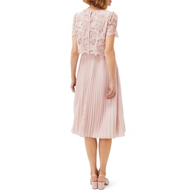 Samina Pleated Double Layer Lace Dress