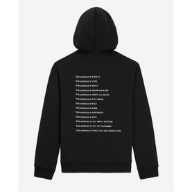 What Is Logo Hoodie