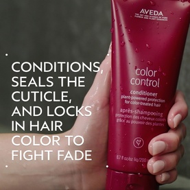 Color Control Conditioner