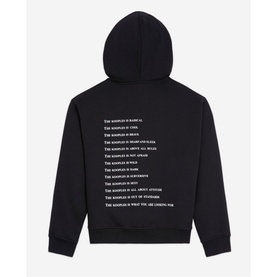 What Is Logo Hoodie