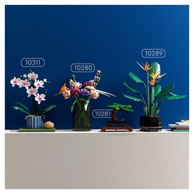 Orchid