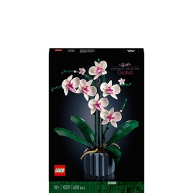 Orchid