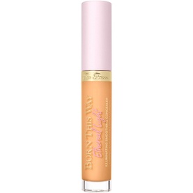 Born This Way Ethereal Light Illuminating Smoothing Concealer