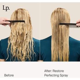 Restore Perfecting Spray FS