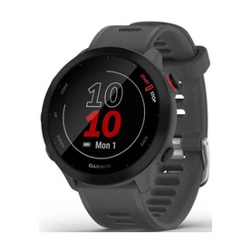 Forerunner 55 GPS Monterra Grey