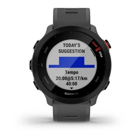 Forerunner 55 GPS Monterra Grey
