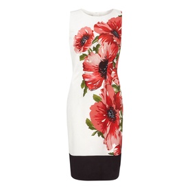 Moira Floral Shift Dress