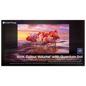 75 Inch 4K QLED Q60B Quantum Smart TV