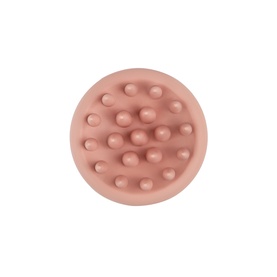 Scalp Brush
