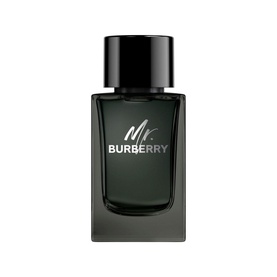 Mr. Burberry for Men Eau de Parfum