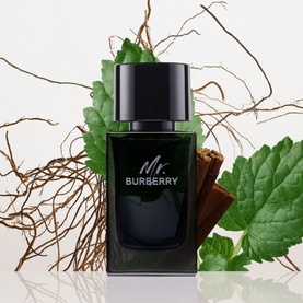 Mr. Burberry for Men Eau de Parfum