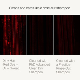 Perfect hair Day Advanced Clean Dry Shampoo