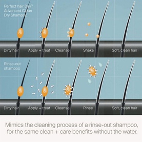 Perfect hair Day Advanced Clean Dry Shampoo