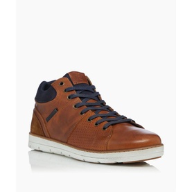 Stakes High-Top Trainers