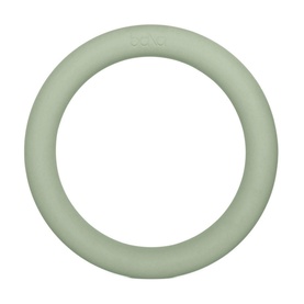 10lb Power Ring - Sage