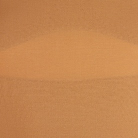 Zone Smoothing Bodysuit