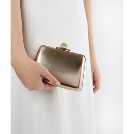 Become Embellished Clasp Clutch Bag
