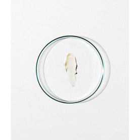 Age-Repair Lip Treatment: Tri-Peptide, Violet Leaf Extract