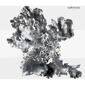 H24 Eau de Parfum