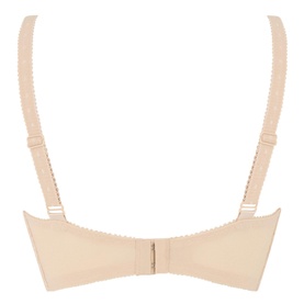 Amourette 300W Lace Under-Wired Bra