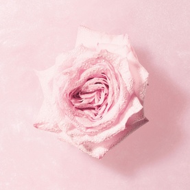 Rose Milano Nacre