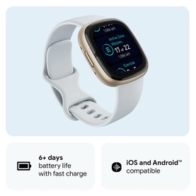 Sense 2 Blue Mist/Soft Gold Smart Watch