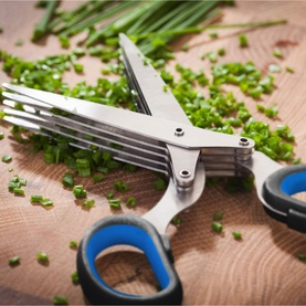 Herb Scissors