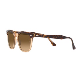 Square Sunglasses RB2298