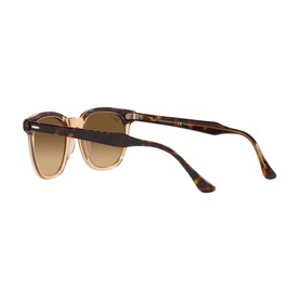 Square Sunglasses RB2298