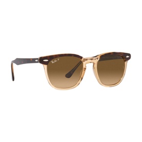 Square Sunglasses RB2298