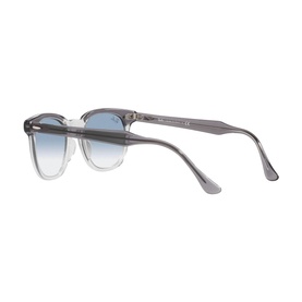 Square Sunglasses RB2298