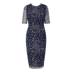 Petite Aileena Embroidered Dress