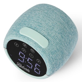Zen Duck Egg FM Clock Radio
