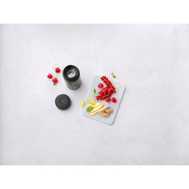 Thermo Tea & Fruit Infuser Bottle 420ml