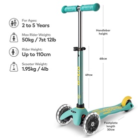 Mini Micro Deluxe Scooter