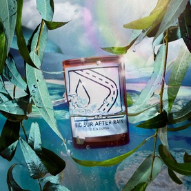 Big Sur After Rain Candle 7oz&nbsp;