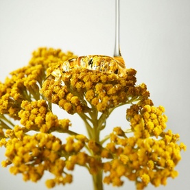 Plantscription Wrinkle Correction Eye Cream with Encapsulated Retinol