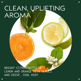 Scalp Solutions Balancing Shampoo