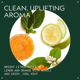 Aveda Scalp Solutions Balancing Shampoo fragrance graphic highlighting citrus lemon, orange, lime and cool mint scent notes